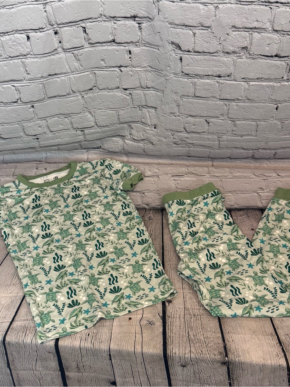 Emerson and Friends Turtle Pattern Short Sleeve Bamboo Pajama Set